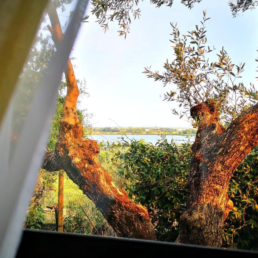Sul Lago Dorato 테라치나 외부 사진